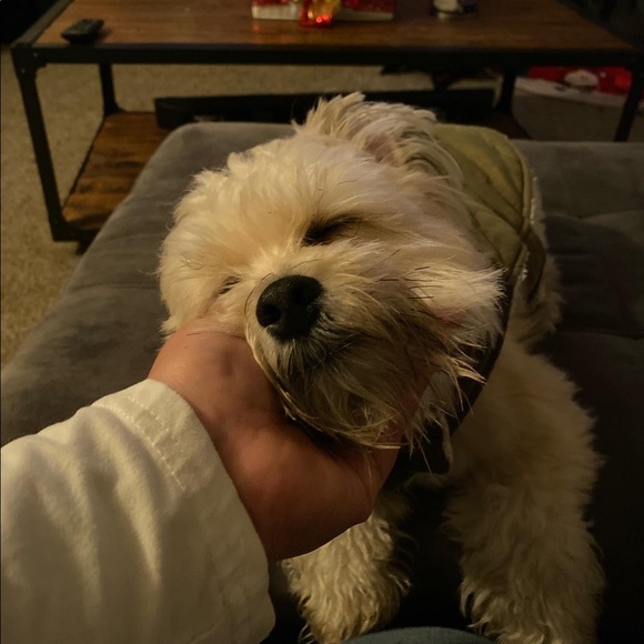 Meet your Posher, Alejandra - Picture 4 of 9